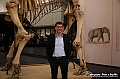 VBS_0999 - Riapre il Museo di Scienze Naturali dopo dieci anni di chiusura